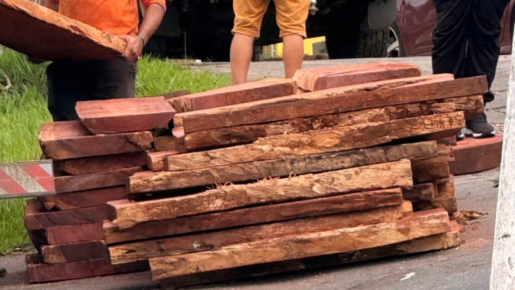 PRF apreende madeira irregular durante fiscalização na BR-364 em Cruzeiro do Sul