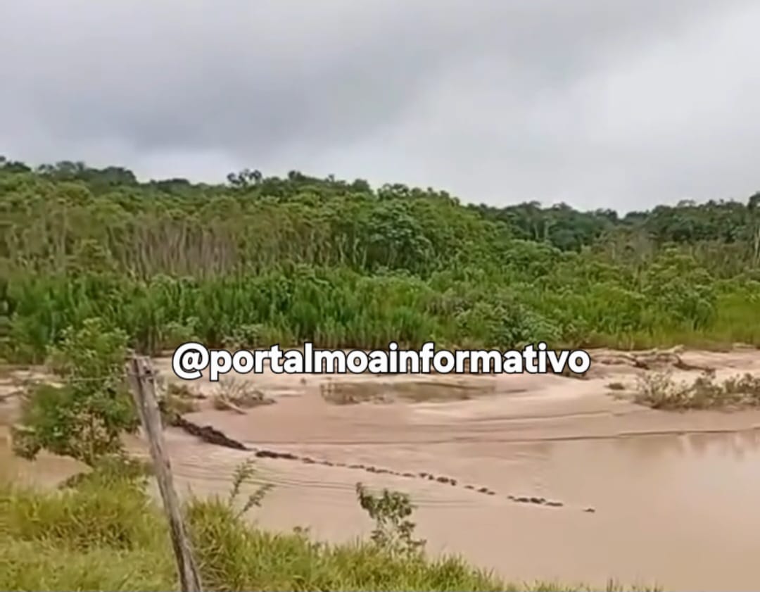 Bando de queixadas é flagrado atravessando rio na zona rural de Jordão e impressiona moradores