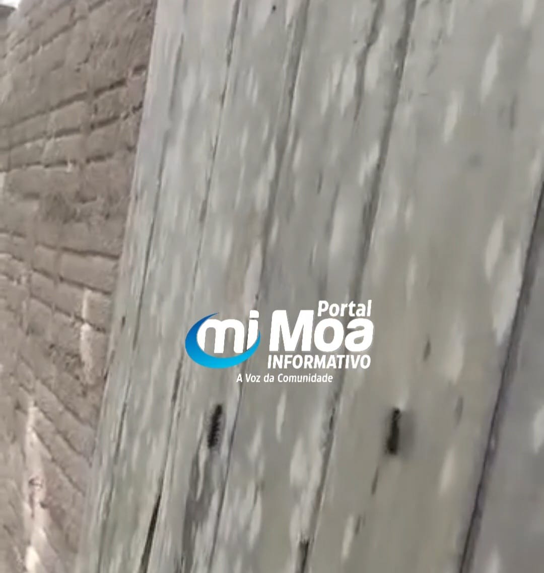 Lagartas invadem residência e preocupam moradores em Mâncio Lima