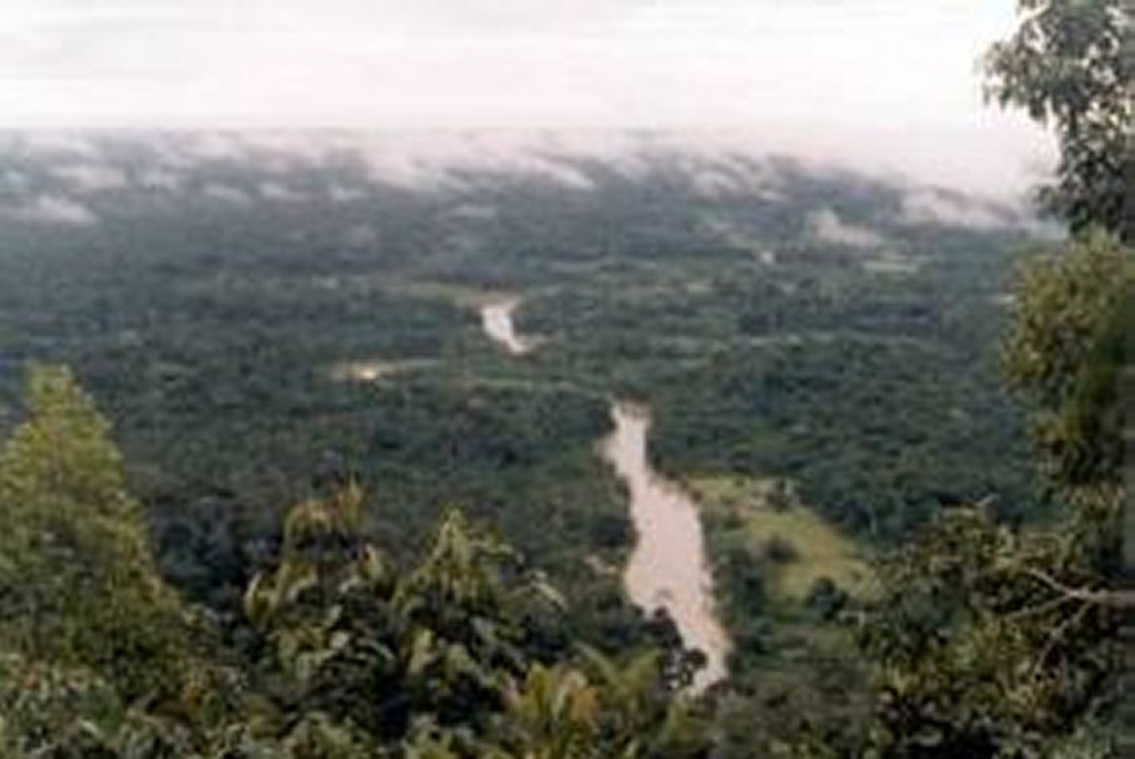 🚨 URGENTE | Jovem morre após disparo acidental de espingarda na Serra do Divisor