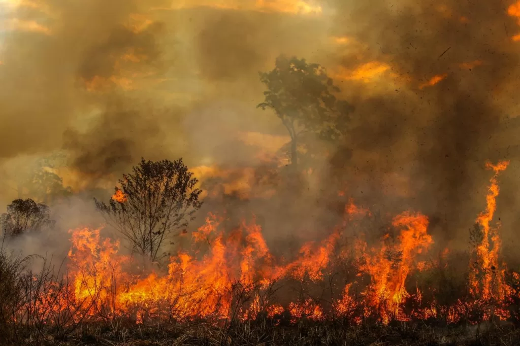 Corpo de Bombeiros certifica brigadistas e reforça combate a incêndios florestais em Mâncio Lima