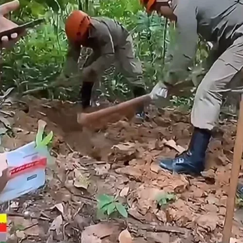 Polícia Civil localiza corpo enterrado após três meses de buscas por homem desaparecido em Rio Branco