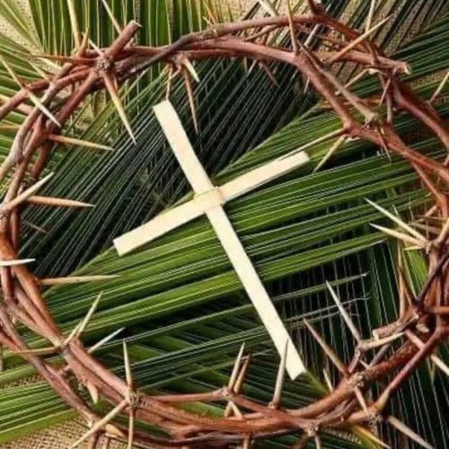 Fiéis celebram o Domingo de Ramos e iniciam a Semana Santa com fé e devoção