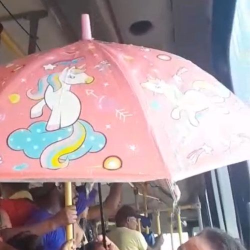 Passageiros usam guarda-chuva dentro de ônibus durante chuva e expõem precariedade do transporte coletivo entre Rio Branco e Bujari