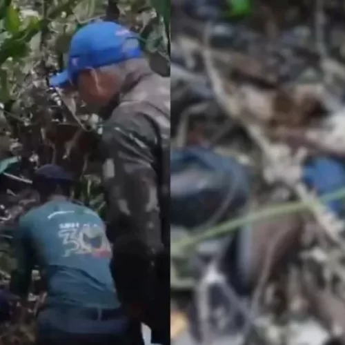 Onça que devorou caseiro retorna ao corpo e ataca equipe de buscas