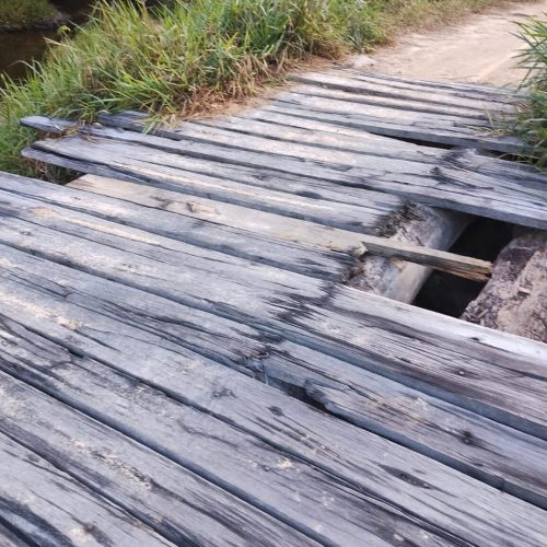 Comunidade Paraná da Floresta, em Guajará (AM), denuncia isolamento e pede socorro ao município