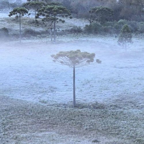 Prepare os agasalhos: frio intenso chega ao Acre com ventos e sensação térmica de até 8 °C