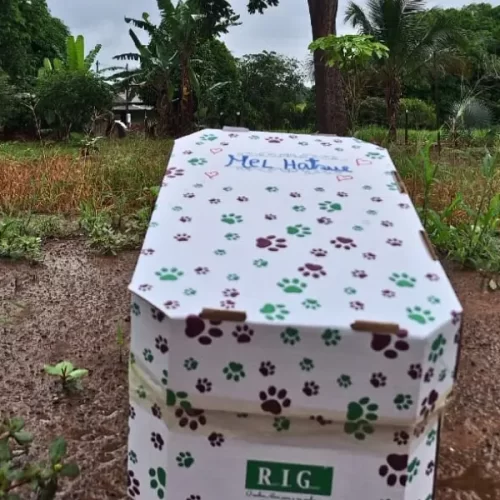 Único cemitério pet do Acre é licenciado e volta às atividades, diz proprietária