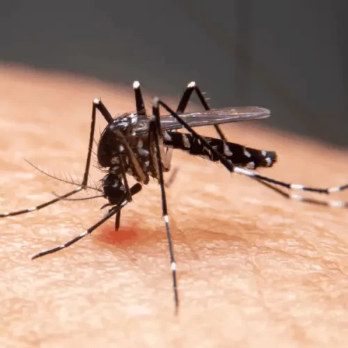 Casos de dengue aumentam 88% no Acre em 2025, aponta Ministério da Saúde