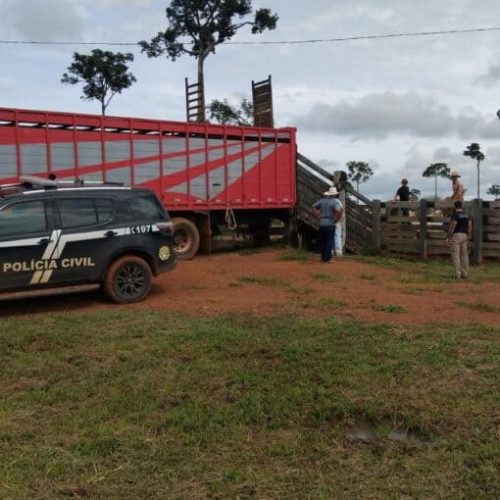 Gado de deputado é rastreado e recuperado em operação policial