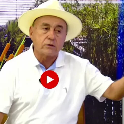 Bocalom diz que anúncio da pré-candidatura ao governo deve sair até o início da próxima semana