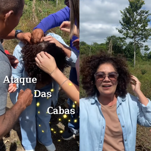 Ex-deputada Perpétua Almeida é atacada por vespas durante visita à cafezal no interior do Acre