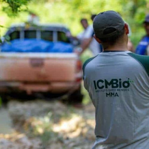 Após furto de gado, ICMBio diz que obstrução à operação será apurada pela polícia