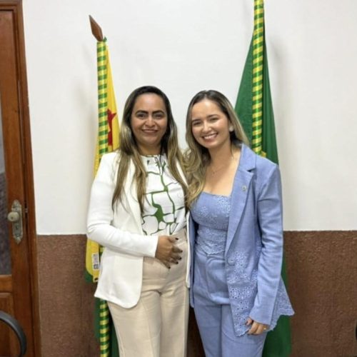 Empreendedorismo feminino ganha força com projeto aprovado de Reziane Barros e Alana Souza