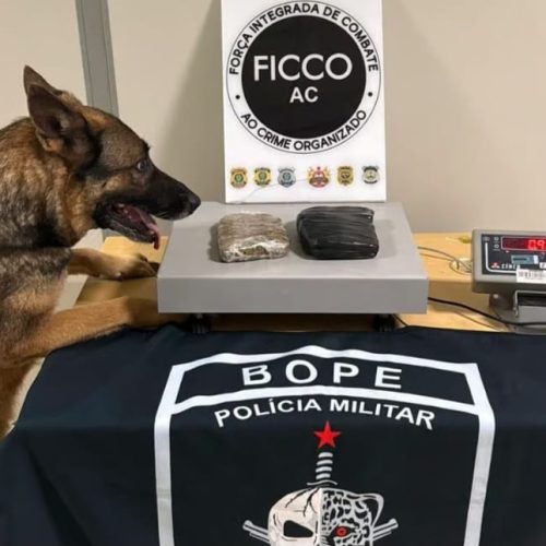 Advogado é preso com drogas no presídio de Rio Branco