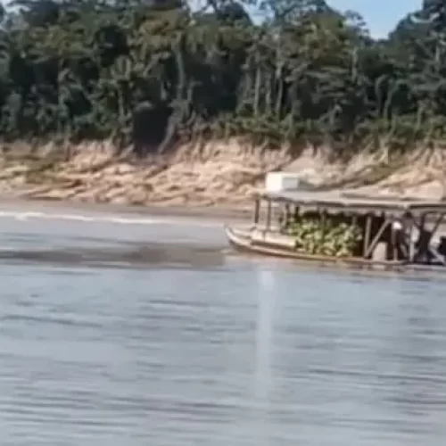 Embarcação carregada com bananas naufraga em rio no interior do Acre
