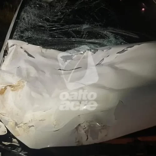 Boi na pista causa acidente entre Rodrigues Alves e Cruzeiro do Sul
