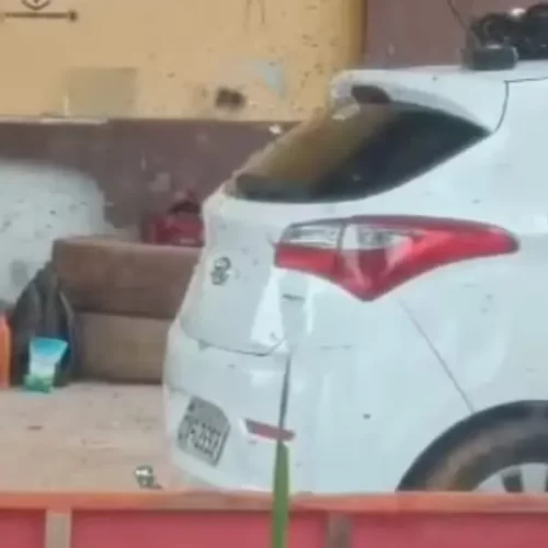 Ataque de abelhas interrompe partida de airsoft e deixa feridos
