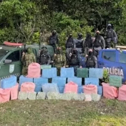 PM apreende 900 kg de cocaína na zona rural de Rolim de Moura