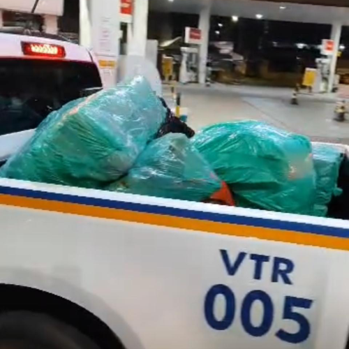 Traficante é preso transportando quase 600 kg de maconha em uma picape
