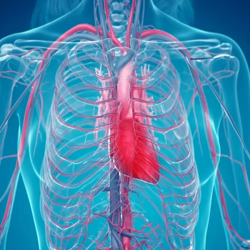 Cardiologista explica como a cerveja age e prejudica saúde do coração