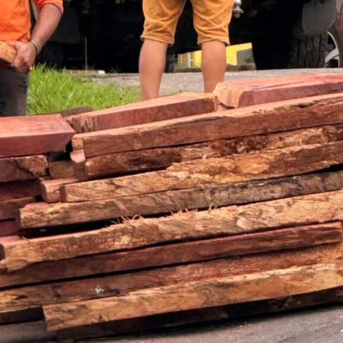 PRF apreende madeira irregular durante fiscalização na BR-364 em Cruzeiro do Sul