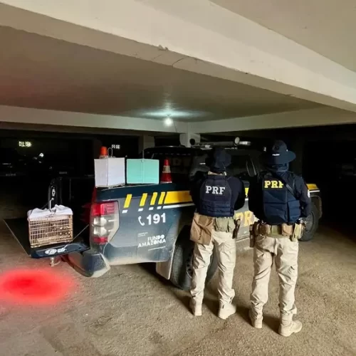 PRF apreende drogas, resgata aves e cumpre mandado de prisão no Acre