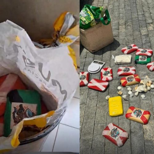 Polícia Civil apreende cocaína avaliada em R$ 19,5 milhões em mansão