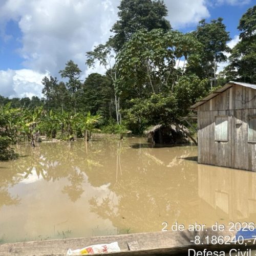 Rio Envira transborda pela quarta vez e atinge cerca de 500 pessoas em Feijó