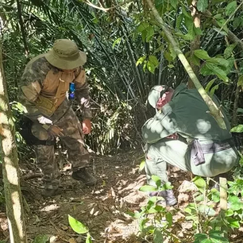 Polícia remove corpo de vítima de homicídio em área isolada de Marechal Thaumaturgo