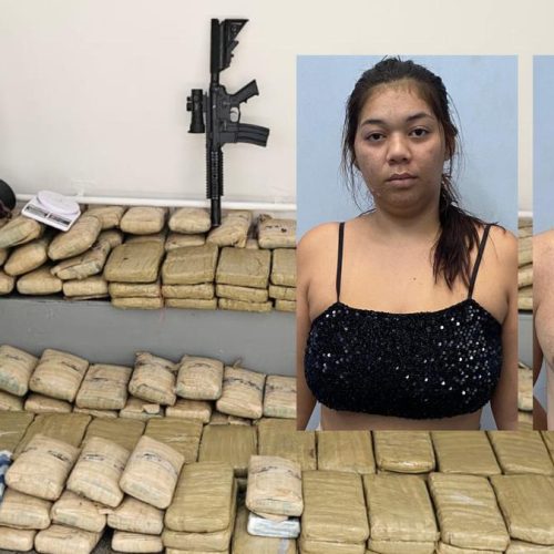 Polícia apreende 300 kg de skunk avaliados em R$ 6 milhões e prende casal