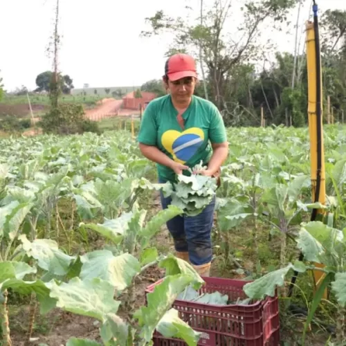 Acre regulamenta programa que fortalece agricultura familiar