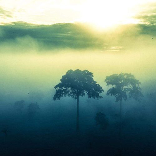 Chuvas diminuem e primeiras ondas polares chegam ao AC em abril