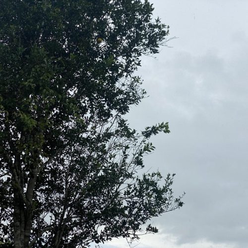 Acre está sob alerta de chuvas intensas, aponta Inmet