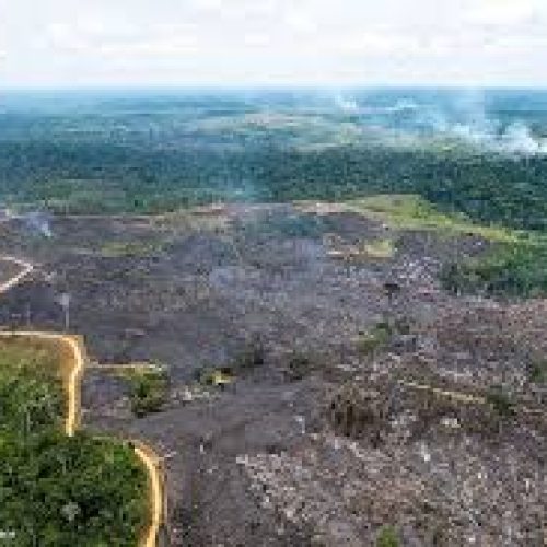 Mudanças climáticas geram prejuízo histórico no Acre, com mais de R$ 900 milhões perdidos