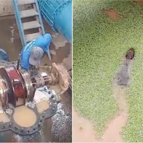 Capivara cai em tanque de Estação de Tratamento de Água em Rio Branco e pode ter sido triturada por máquina