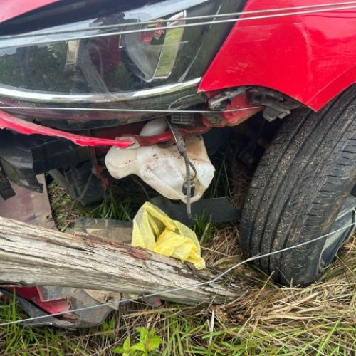 VEÍCULO COLIDE COM ANIMAL SOLTO NA PISTA NO BAIRRO PÉ DA TERRA EM MÂNCIO LIMA