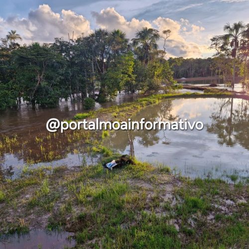 Chuvas intensas fazem Igarapé do Banho transbordar e prejudicam piscicultores em Mâncio Lima