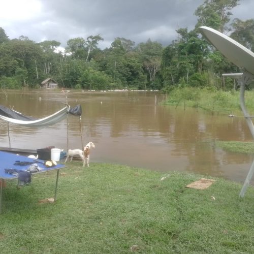 Baleeira afunda com mais de 100 sacas de farinha no Rio Azul