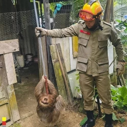 Corpo de Bombeiros do Acre atua com excelência no Vale do Juruá