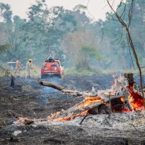 Com inverno intenso, nº de queimadas reduziu quase 100% nos primeiros meses de 2025 no AC, aponta Inpe