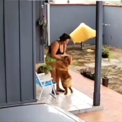 Após ser mordida no rosto por cão de estimação, mulher se prepara para cirurgia de reconstrução: ‘A dor física é mais fácil do que a do coração’