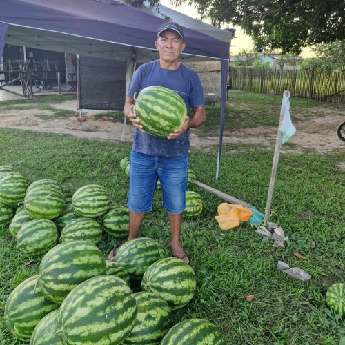 Produtor de Mâncio Lima se destaca como um dos maiores cultivadores de melancia do Vale do Juruá