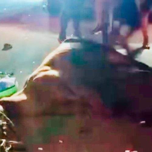 Menino de 11 anos montava cavalo envolvido em acidente que vitimou motociclista no Juruá