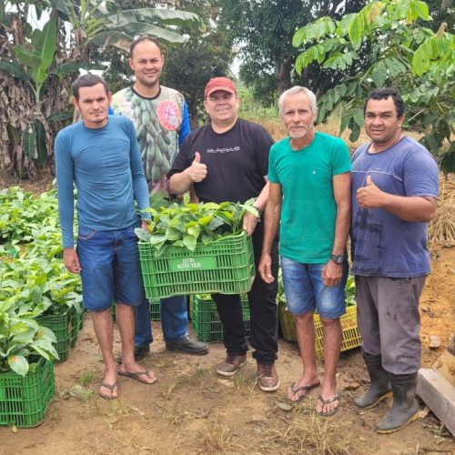 Vereador Jean Almeida fortalece agricultura com entrega de mudas de café
