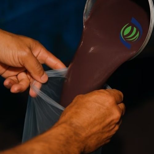 Açaí do Acre entra na nova lista de bônus da Conab