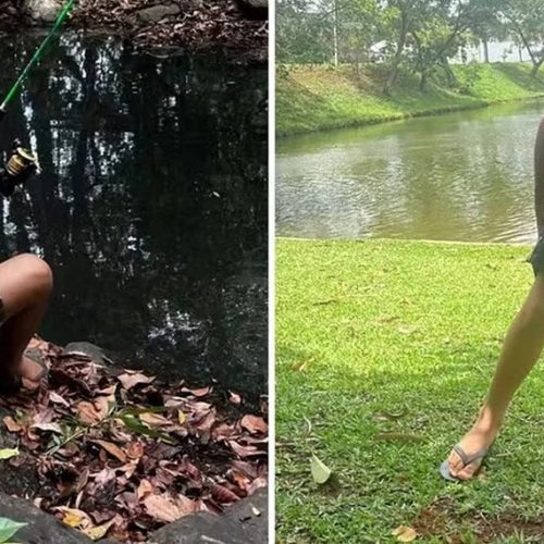 Morre menino que levou mais de 1.000 picadas de abelhas