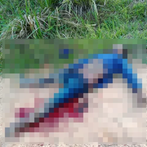 Polícia apura se disparo acidental causou morte de homem em ramal do interior do Acre