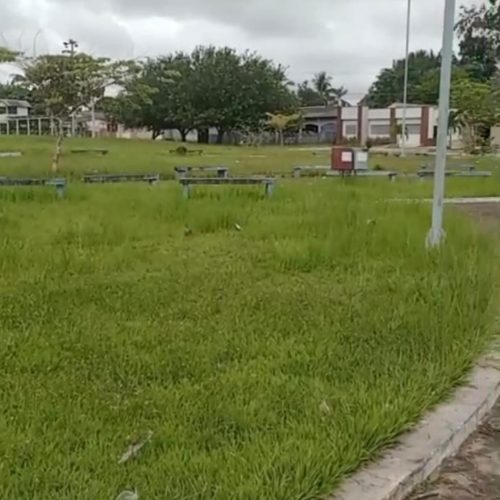 MATO, LIXO E DESCASO: REALIDADE DA PRAÇA NA VILA SÃO PEDRO