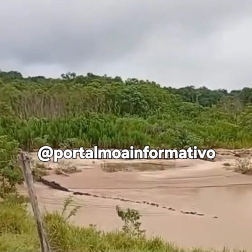 Bando de queixadas é flagrado atravessando rio na zona rural de Jordão e impressiona moradores